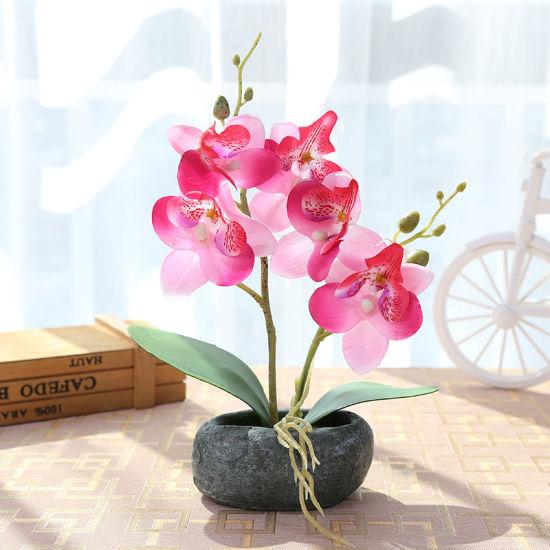 New Style Home Decoration Two Branches Phalaenopsis Silk Flower Artificial Flower