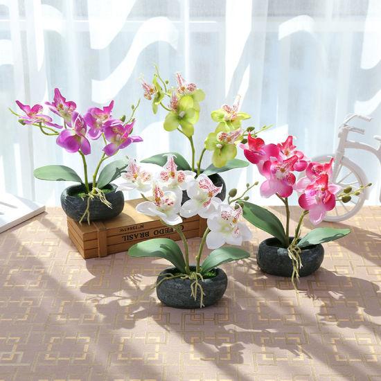 New Style Home Decoration Two Branches Phalaenopsis Silk Flower Artificial Flower